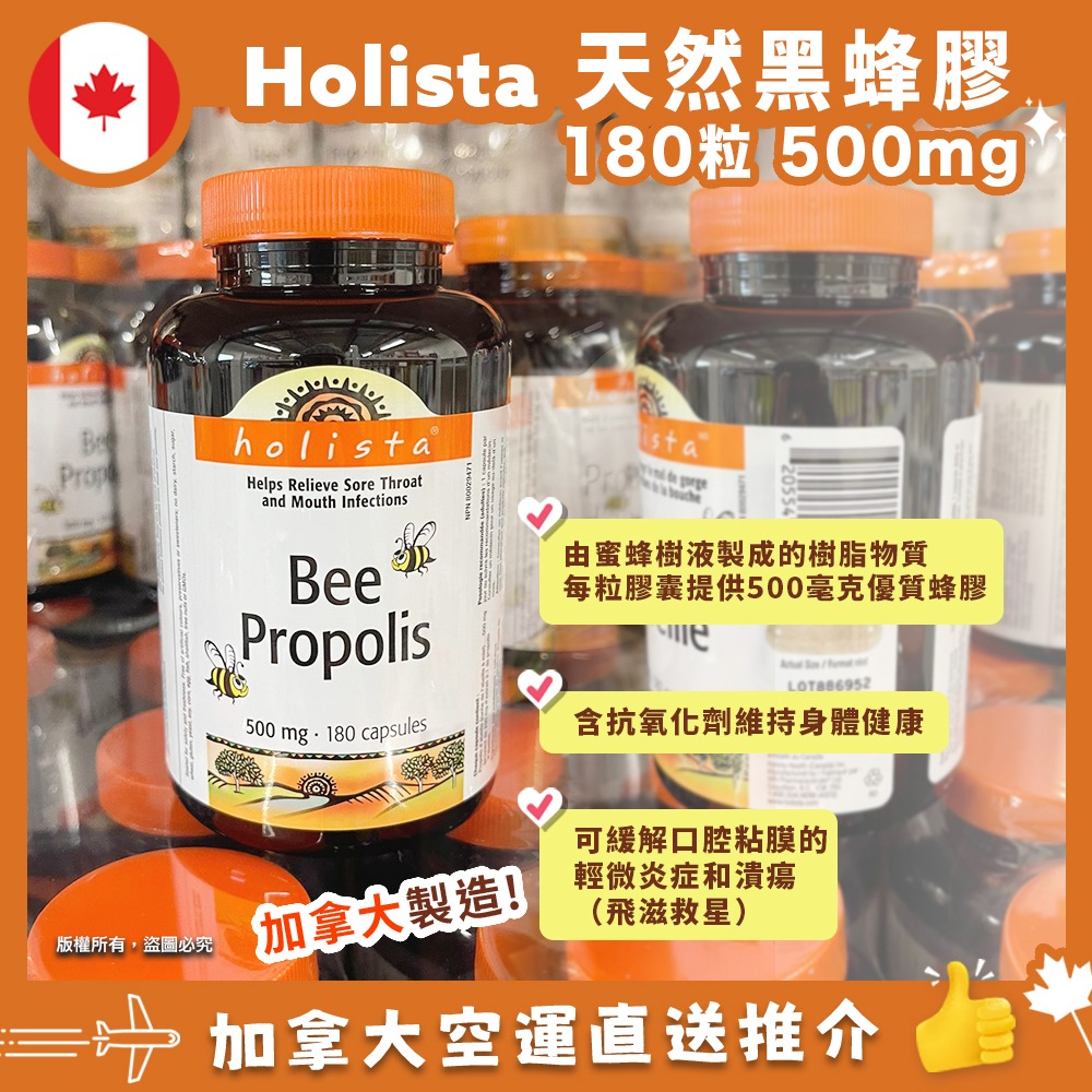 【加拿大空運直送】Holista Bee Propolis 高純度抗氧化蜂膠膠囊500mg 180粒