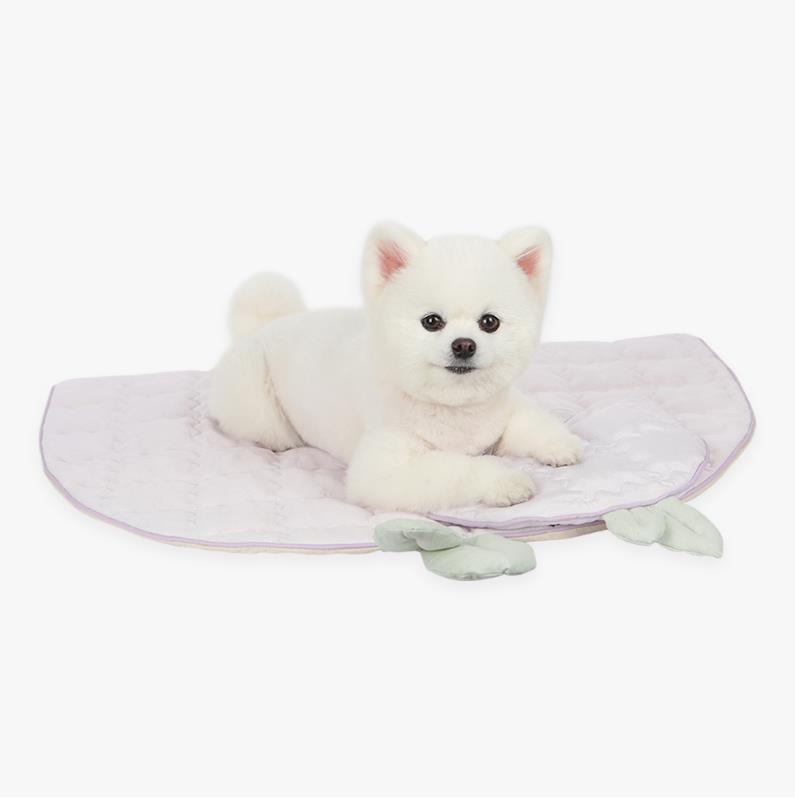 韓國 itsdog - rayon fruit cooling mat (grape)