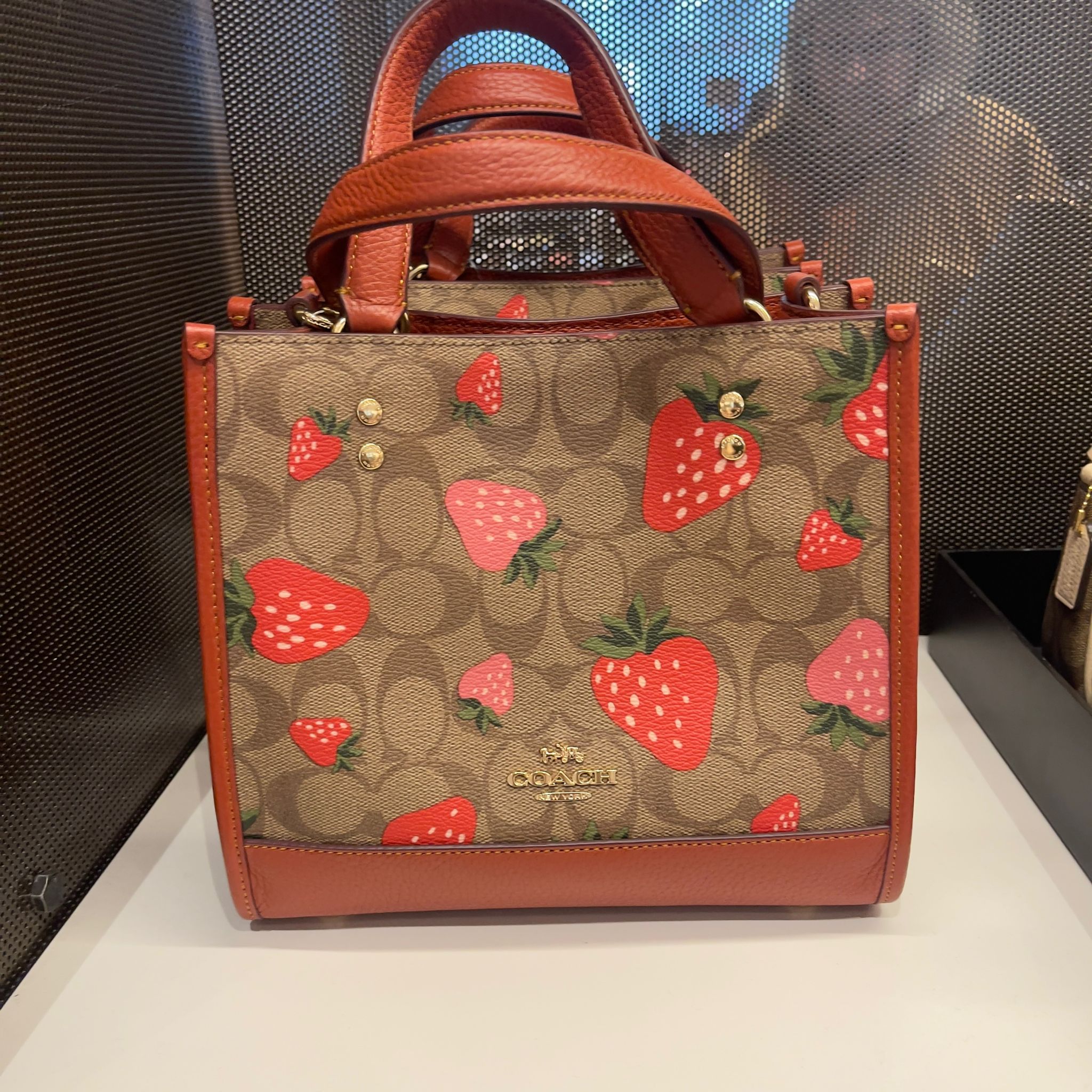 【加拿大空運直送】COACH Dempsey Tote 22 In Signature Canvas With Wild Strawberry Print