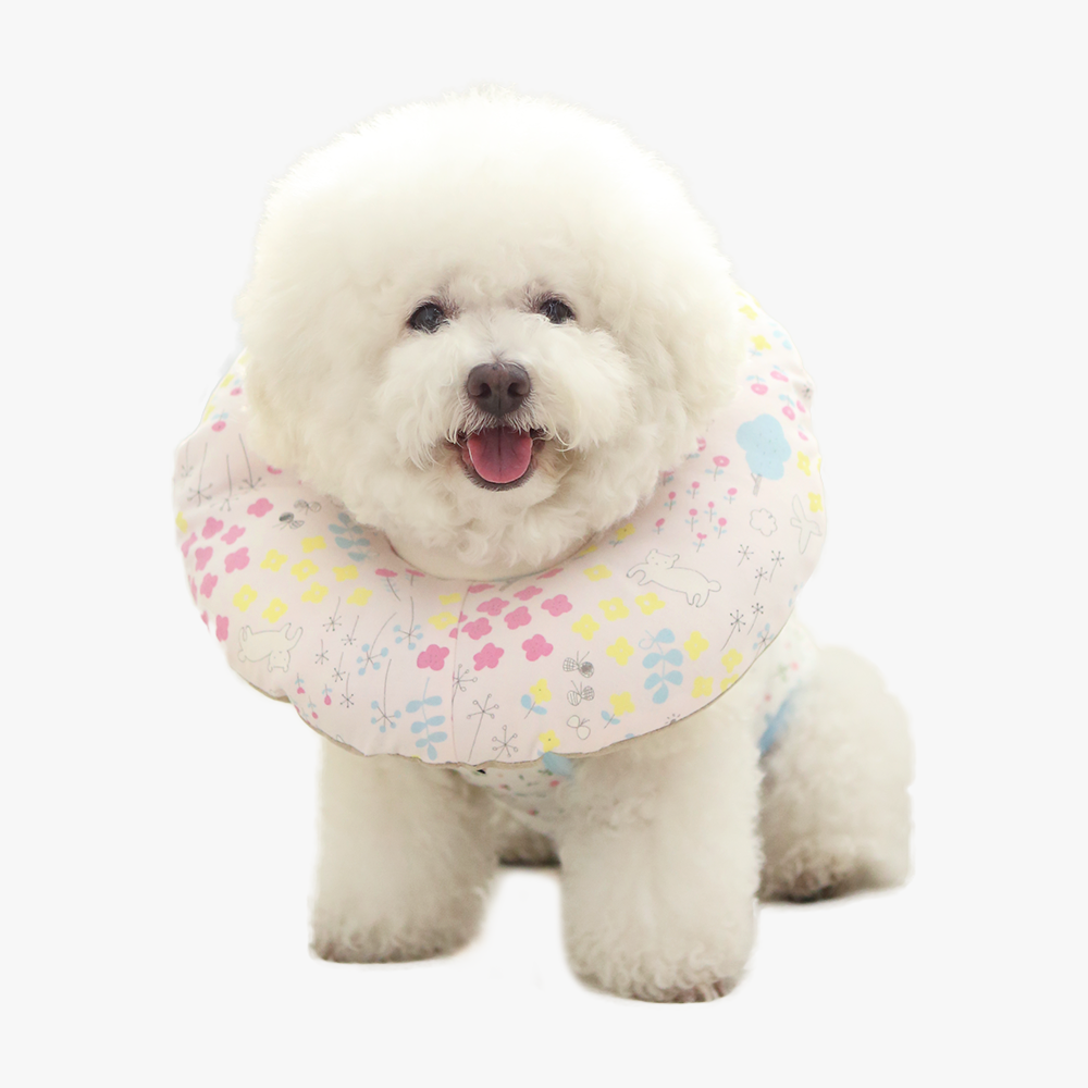 韓國 itsdog - 有機居家護理頸圈（粉紅色）♡寵物衫