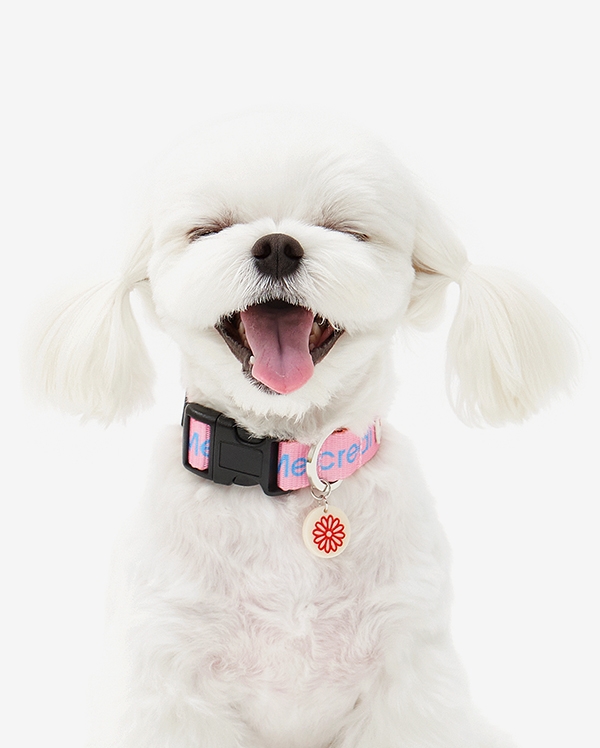 韓國Mardi Mercredi Pet - Jeudi Collar 頸繩 (Pink)♡寵物生活用品  