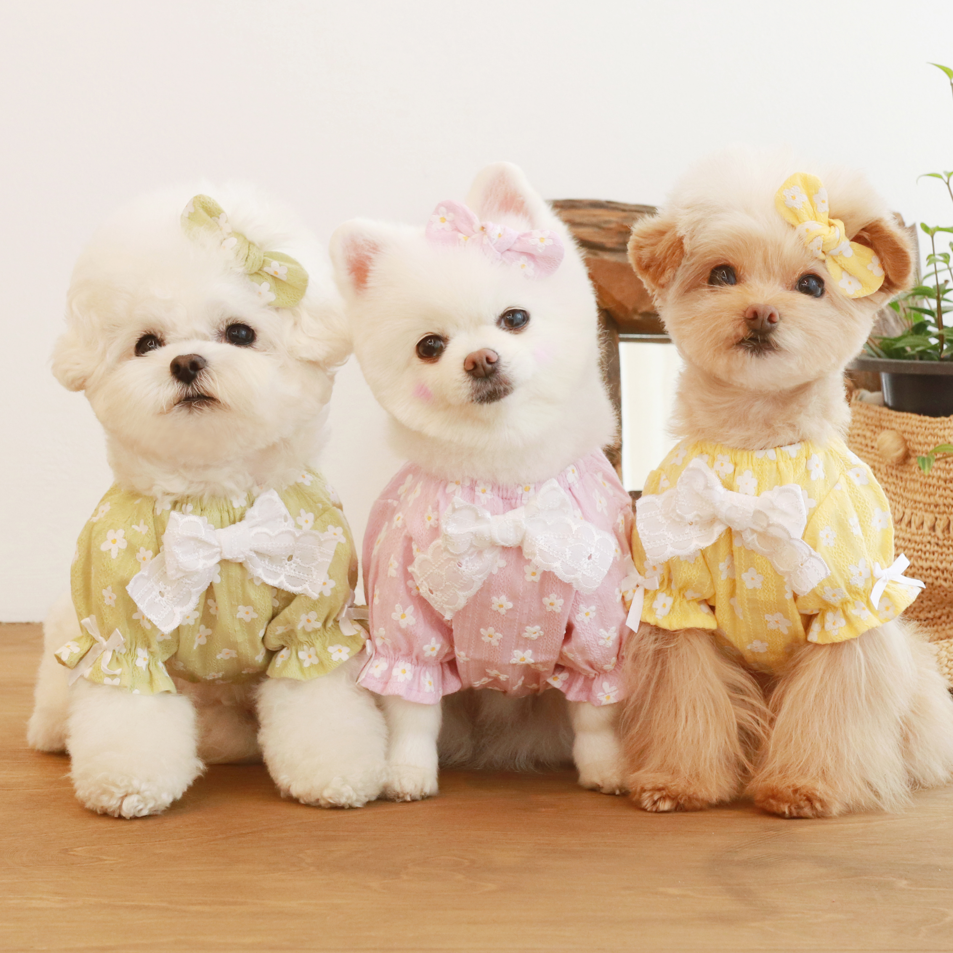 韓國Bezibebi – Avant Floral 連身裙(3color)♡寵物衫