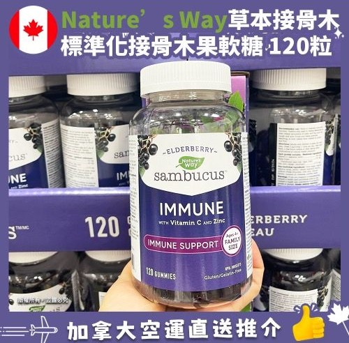 【加拿大空運直送】Nature's Way Sambucus Immune Gummies 草本接骨木標準化接骨木果軟糖 120粒