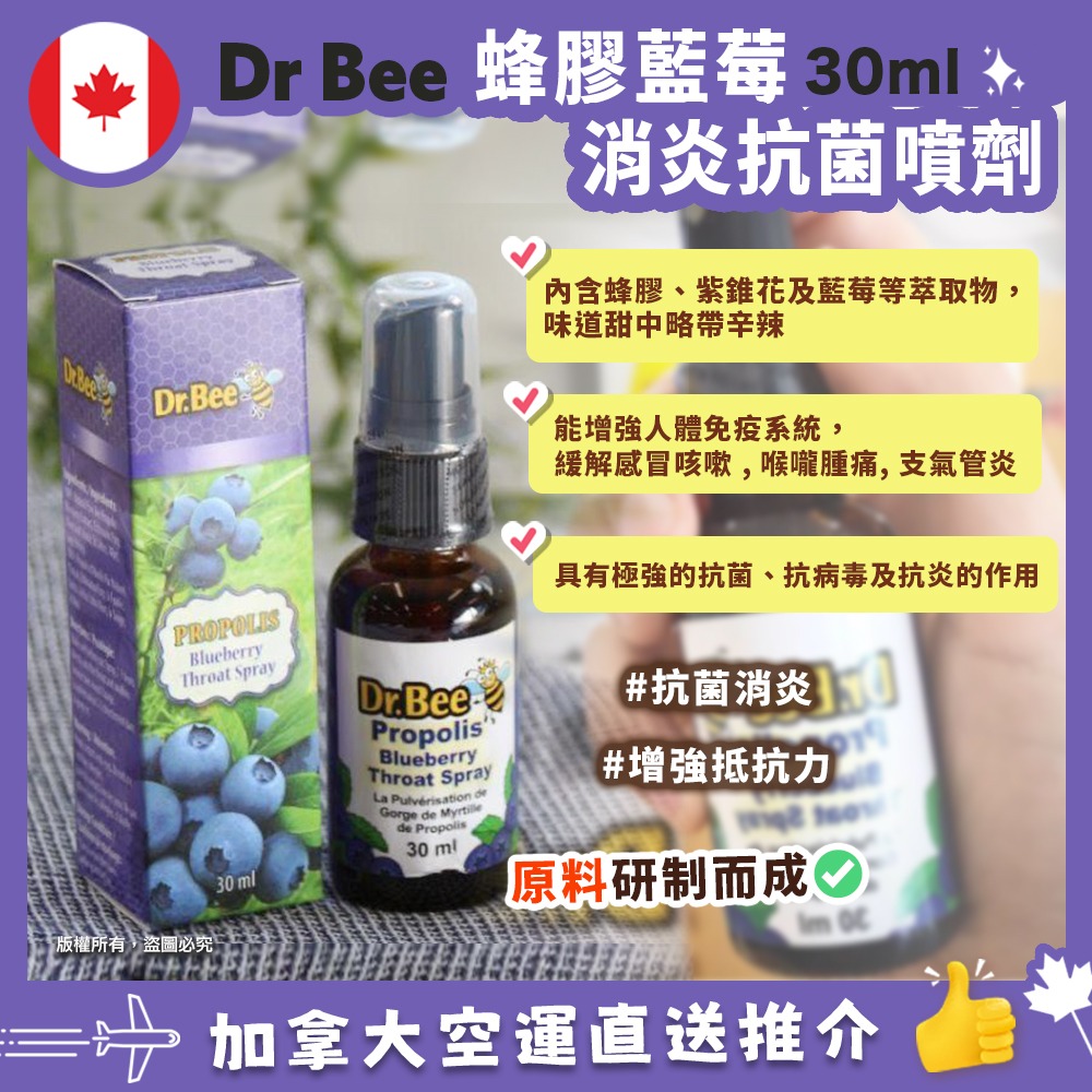 【現貨】【加拿大空運直送】 Dr Bee Propolis Throat Spray 蜂膠藍莓感冒噴劑 30ml 有效日期:2027.02.19