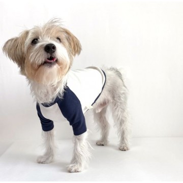 韓國HONEY DOG – 運動服上衣 (海軍藍色)♡寵物衫