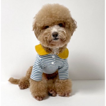 韓國HONEY DOG – 有領間條上衣 (天藍色)♡寵物衫