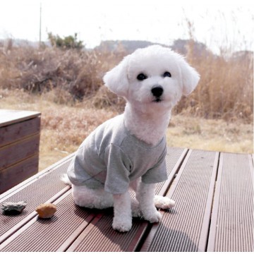 韓國HONEY DOG – 基本淨色上衣 (灰色)♡寵物衫