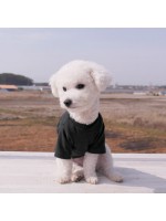 韓國HONEY DOG – 基本淨色上衣 (木炭色)♡寵物衫